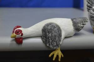 lot 121 image: Shelf Hanging Chickens
