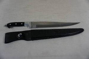 Stainless Blade Collector Knife with Leather Sheath