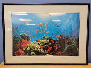 Beautiful Custom Framed Coral Reef Underwater Print 40.5 x 29