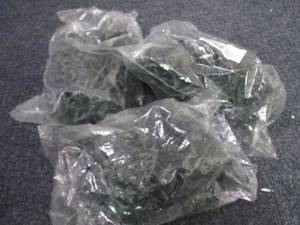 lot 172 image: 3 pks-Symphony Wire Plant Clips,100...
