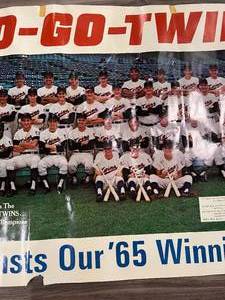 Hamms Twins 1965 Poster