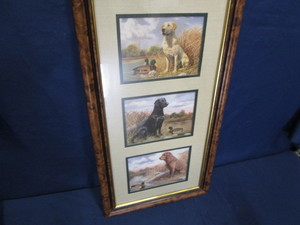 Framed Prints - Labs
