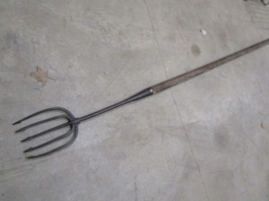 Frog  Fish Spear