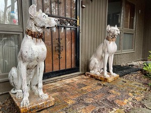 lot 1 image: Magnificent Pair of Large Vintage Terra Cotta Great Dane Dog Statues