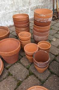 Large Variety of Terracotta Pots
