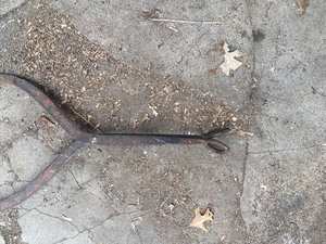 Old Ice Tongs
