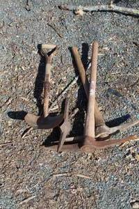 lot 950 image: Lot of (4) Hand Tools - Pick Axes (x2), Pick Axe Head (x1), Shovel (x1)
