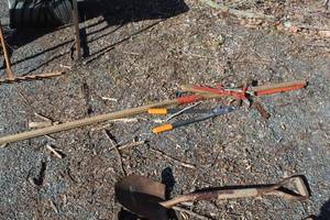 lot 951 image: Lot of (2) Pruners