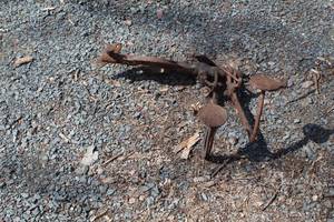 lot 997 image: Vintage Tractor Pedal Assembly