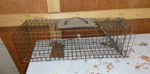 Small livetrap