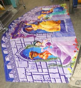 Princess Palace banner approx 9 ft wide x 5 ft tall