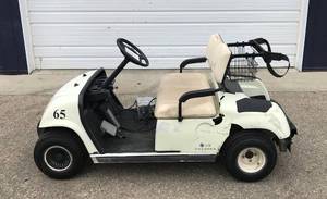lot 3 image: 2015 LIV Prosper Golf Cart #65