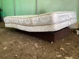 Motorized twin bed
