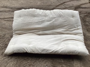 Futon with cushion
