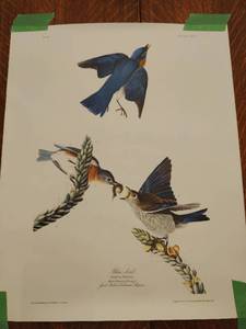 lot 93 image: Two Vintage Bird Prints