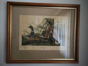 lot 154 image: Framed Limited Edition Mallard Duck Print