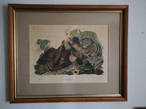 lot 155 image: Framed Lmiited Edition Rough Grouse Print