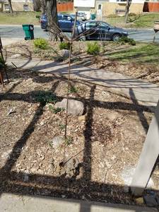 lot 265 image: Collection of Metal Outdoor Dcor