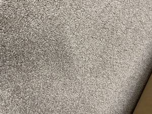 168 SF of Plush Polyester Carpet 12x14
