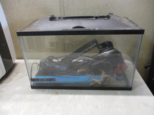 Small Fish tank and supplies