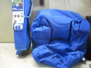 Canopy chair and Bean Bag Chair