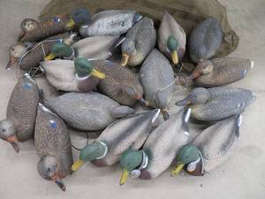 lot 9 image: 18 DUCK DECOYS