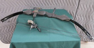 lot 11 image: HAWK GOLDEN EAGLE BOW