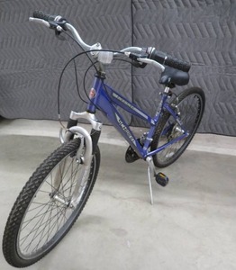 lot 13 image: LADYS SCHWINN SIDE WINDER BYCYCLE