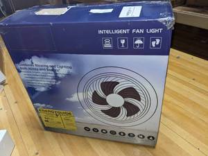 LCIWZ 18 Ceiling Fan with Light