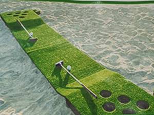 Golf and Beer Pong Game with Carrying Case