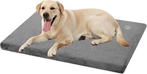 EMPSIGN PET BED