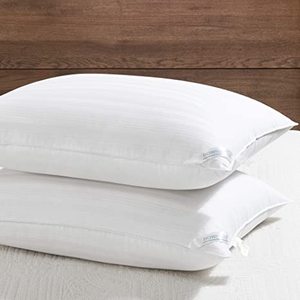 2 King Down Alternative Pillows
