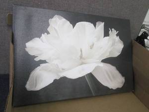 lot 57 image: Trademark Fine Art Cora Niele White...