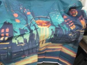 lot 172 image: 2 Halloween Night Photo Back Drops ...