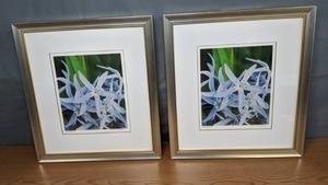 lot 129 image: Pair of Identical Framed Floral Art Into the Blue by D. Kahler - N