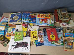 lot 587 image: Large Collection of Kids Books Spider-Man, Bambi, Noahs Arc, The First Christmas, Bugs Bunny, Insect Books and More - V