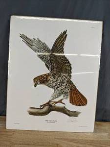 lot 774 image: Vintage Red Tail Hawk Limited Edition Signed Print by Tony Biagi - V