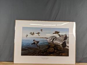 lot 777 image: Vintage Stony Point Bluebills Print by Ron Van Gilder 11881500 - V