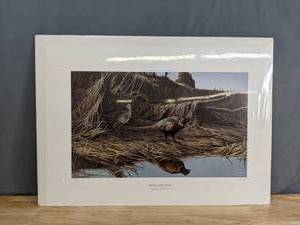 lot 778 image: Vintage Autumn Reflections Print by Jean Sherlock 35580 - V