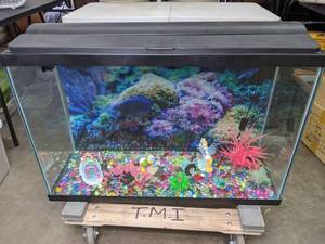 lot 767 image: Aquarium with Rocks, Decorations and Background - V