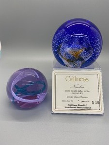 lot 155 image: Caithness Paperweights from Scotland - Nimbus & Pastel