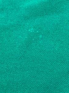 lot 195B image: Vintage 3.5 Point Hudsons Bay Wool Blanket- Emerald Green