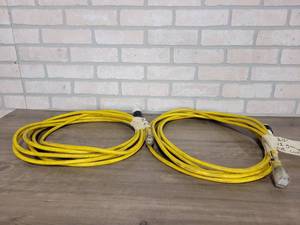 lot 621 image: Pair of 12 Gauge 24 Heavy Duty Extension Cords