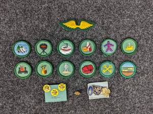 lot 703 image: Vintage Girl Scouts Patches, Badges, and Pins