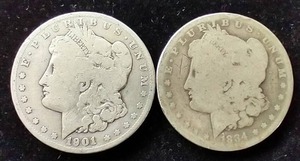 Morgan Dollar 2 Coin Lot