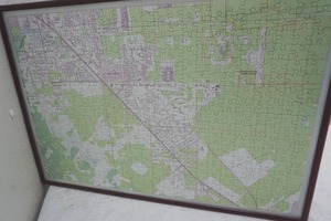 lot 165 image: framed map of Naples Florida