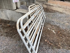 lot 242 image: Lot of Metal Gates and Fence Partitions In Assorted Sizes