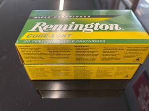 Remington 308 40 Rounds