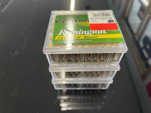 Remington 22 LR 300 Rounds