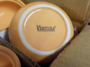 Case of 24 Peach Ventura Soup Ceram...